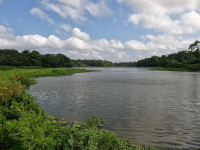 Parque Estadual do Utinga
